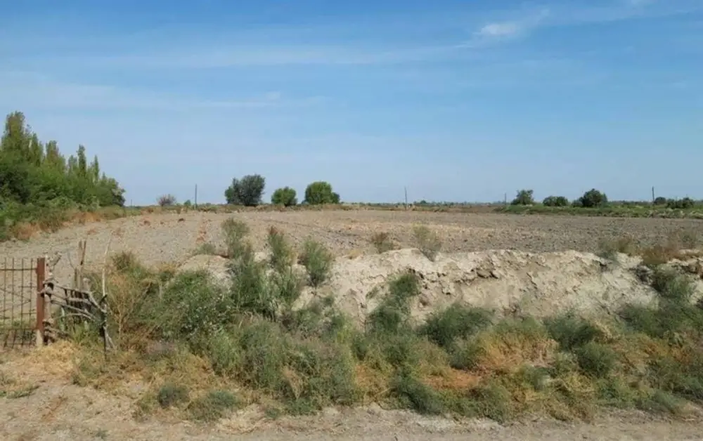 Azərbaycanda növbəti torpaq hərracı elan edilib