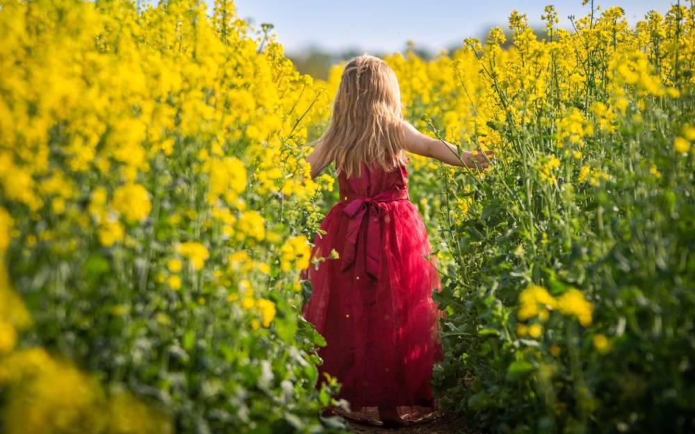 Mayın ilk günü 25° isti olacaq