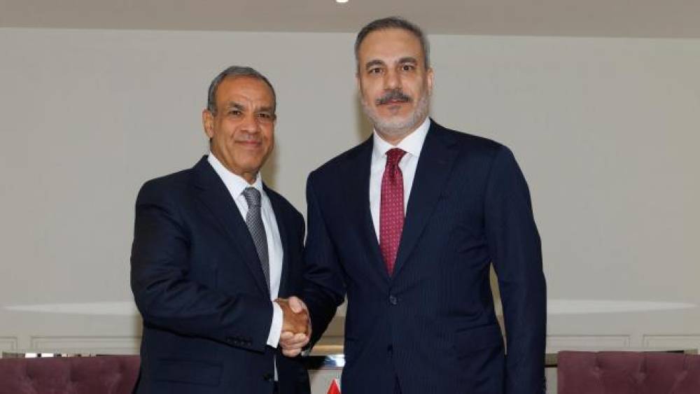 Hakan Fidan misirli həmkarı ilə görüşdü