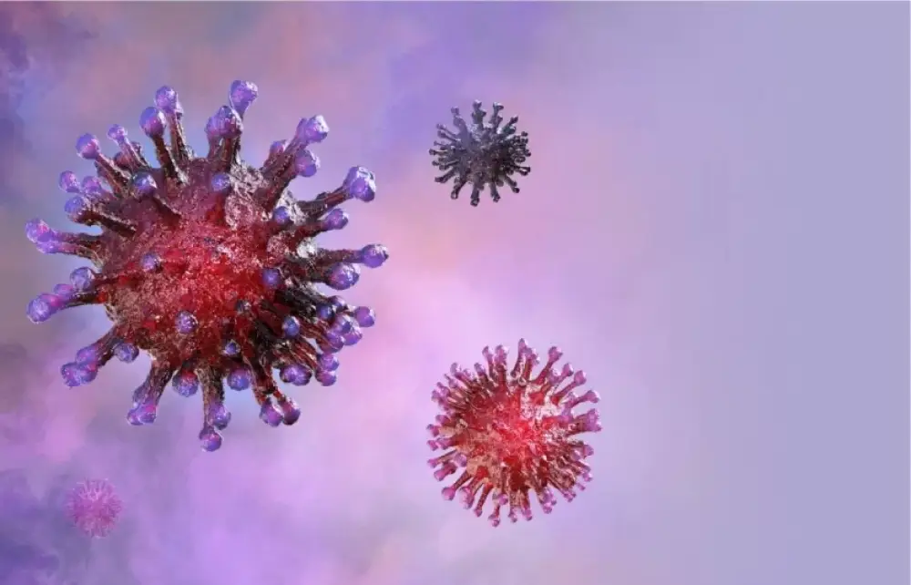 Çində yeni virus aşkar edildi