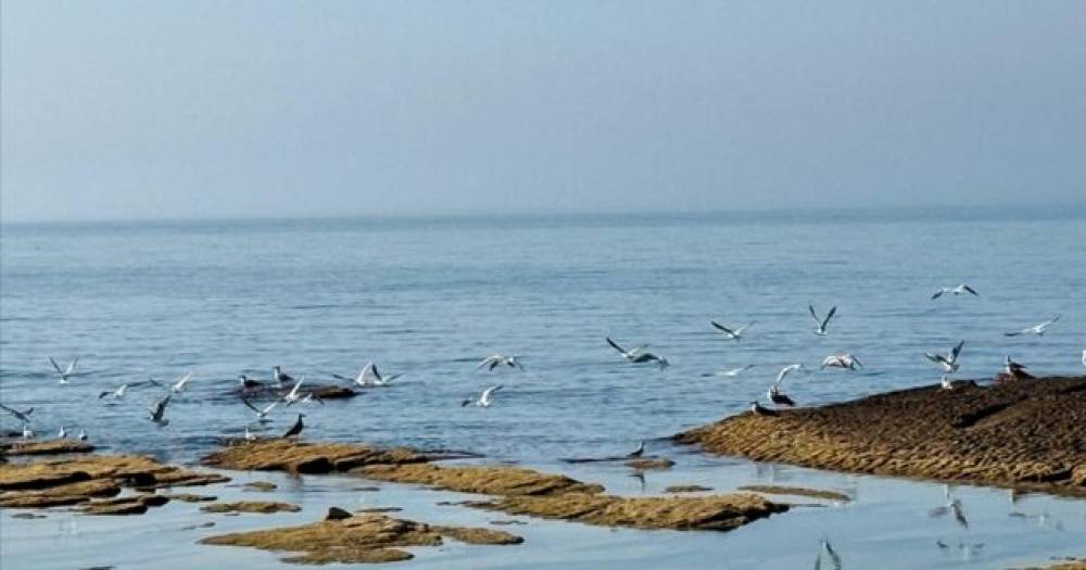 Xəzər dənizinə pul ayrıldı