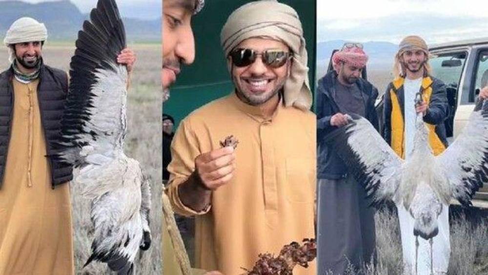 Turistlər ölkəmizdə bəzgək ovlayırlar?