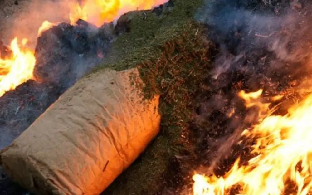 Dövriyyədən çıxarılmış narkotik vasitələr yandırıldı