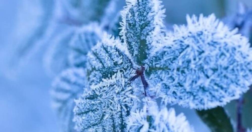 Qar yağacaq – XƏBƏRDARLIQ