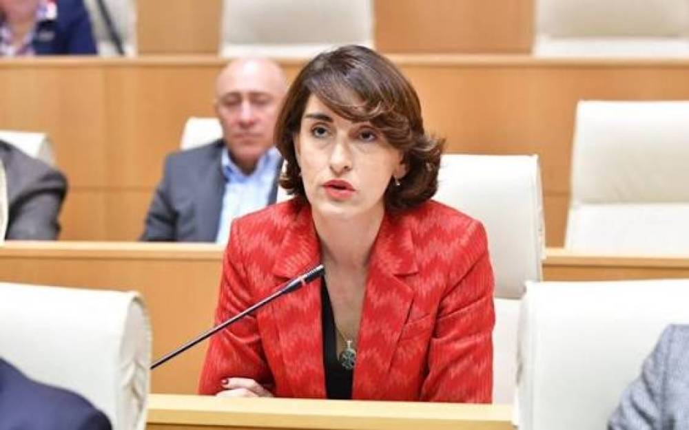 Gürcüstan: Rusiyaya qarşı sanksiyalar tətbiq edə bilmərik