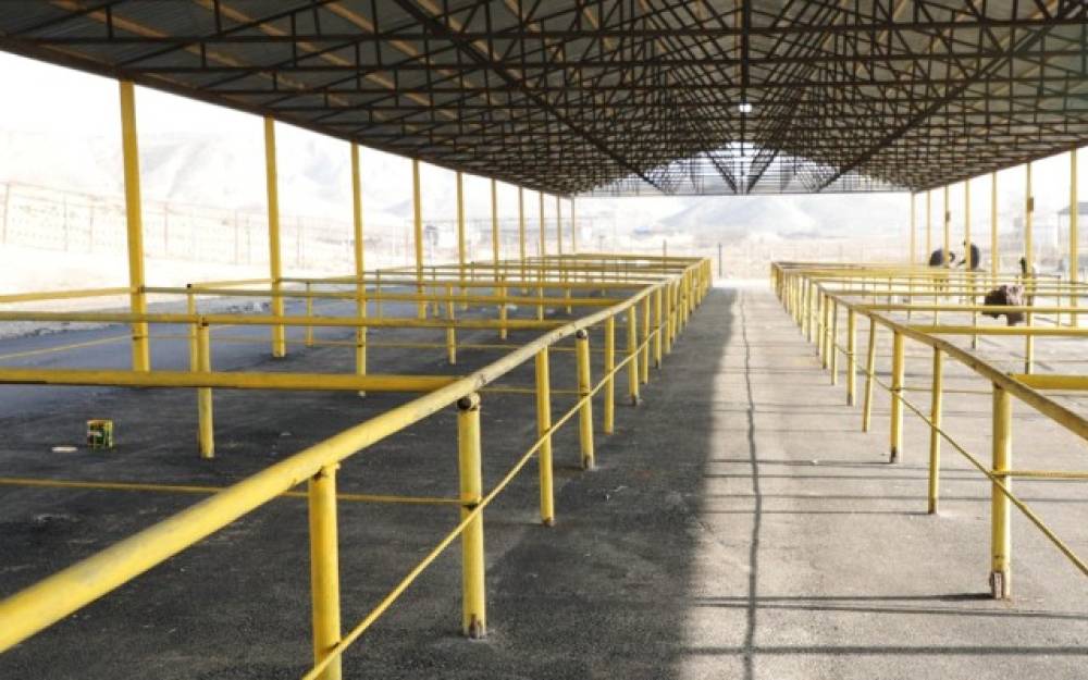 Şamaxı və Göyçay heyvan satışı bazarları açıldı