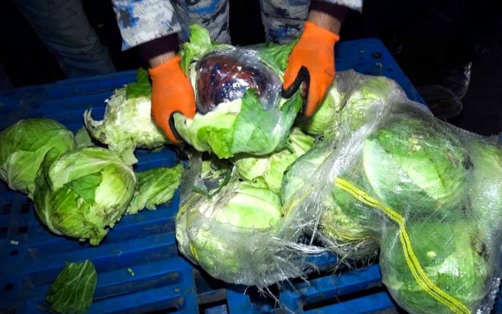 Kələm yükündən narkotik aşkarlandı