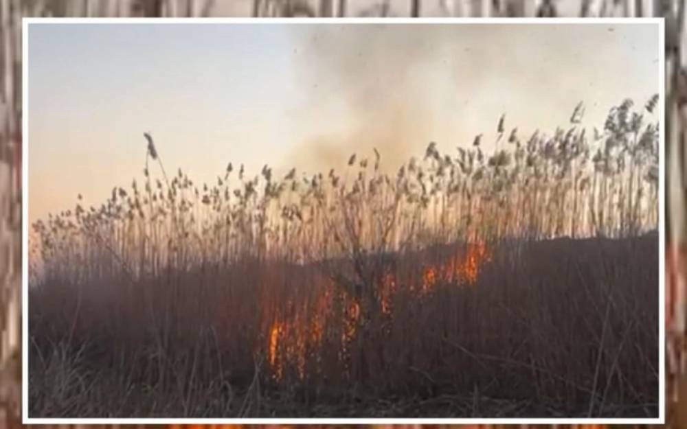 Cəbrayılda yanğın törədən şəxs saxlanıldı
