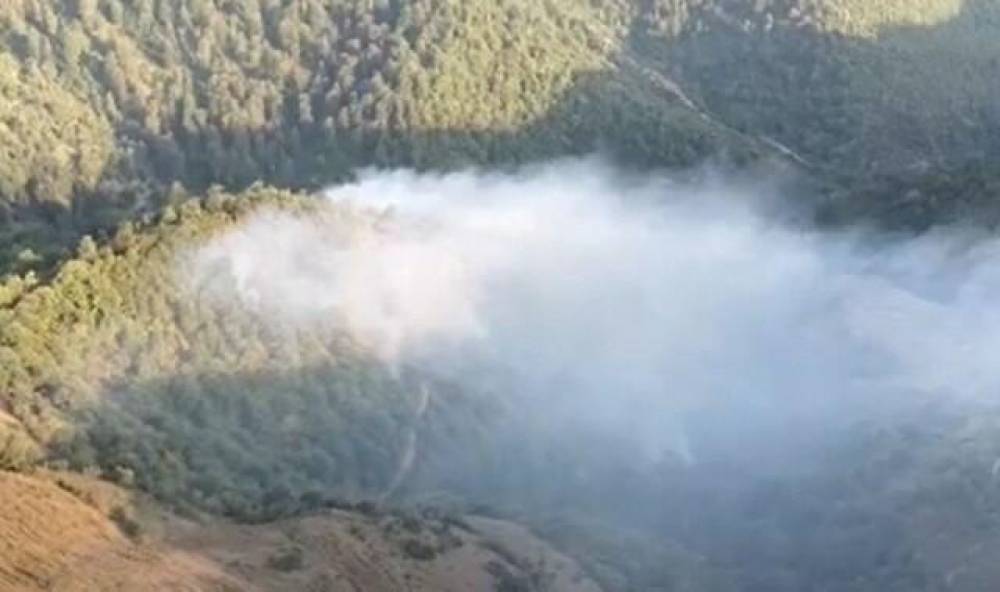 Cəlilabadda meşədə yanğın: Helikopterlər cəlb edildi