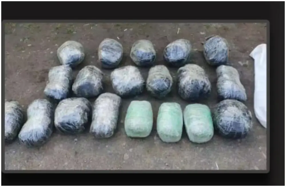 Lerikdə 20 kiloqram narkotik vasitə aşkarlanıb