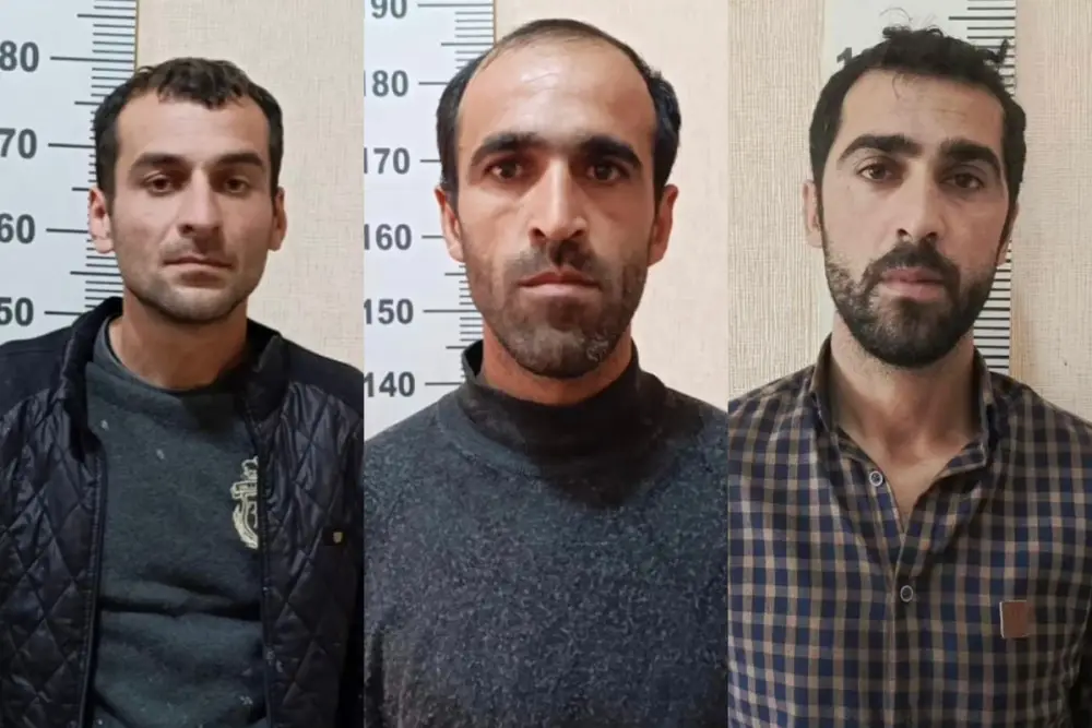 Zərdabda 12 000 manat dəyərində naqilləri oğurlayan şəxslər saxlanılıblar