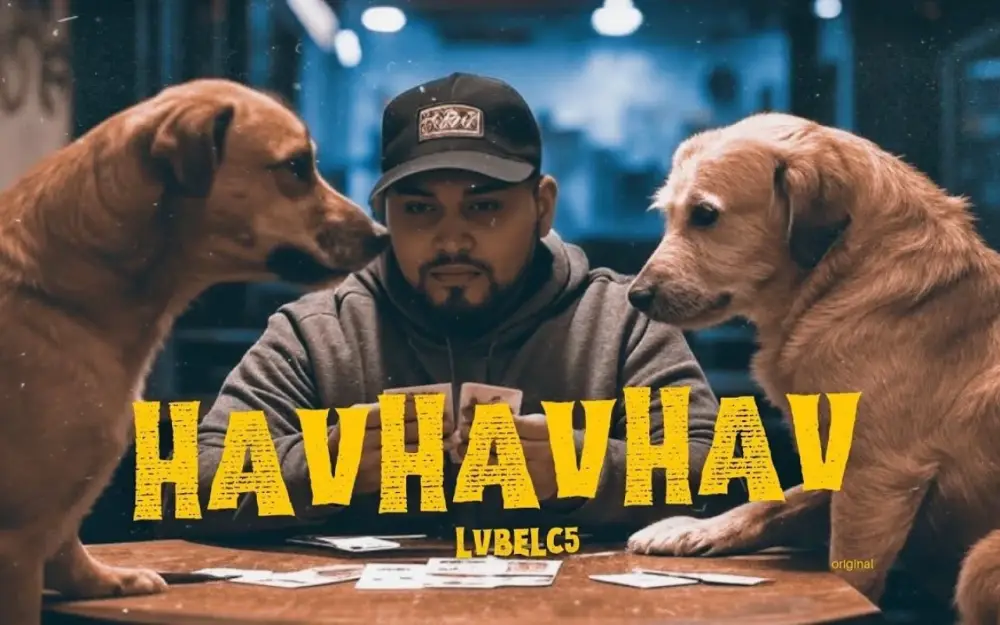 "Havhav" oxuyan reper saxlanıldı