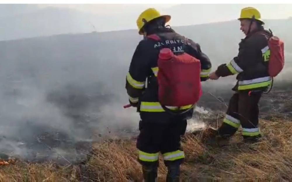 Gədəbəydə dağlıq ərazidə yanğın başlayıb - VİDEO