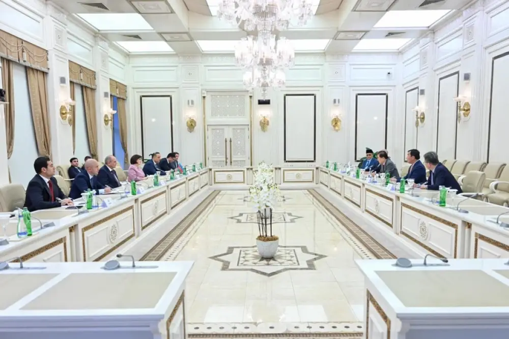 Sahibə Qafarova ICAPP-ın nümayəndə heyəti ilə görüşüb