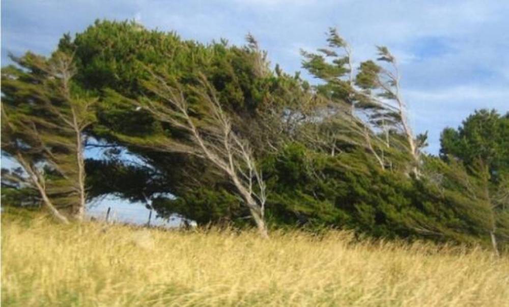 FHN küləkli hava şəraiti ilə əlaqədar əhaliyə müraciət etdi