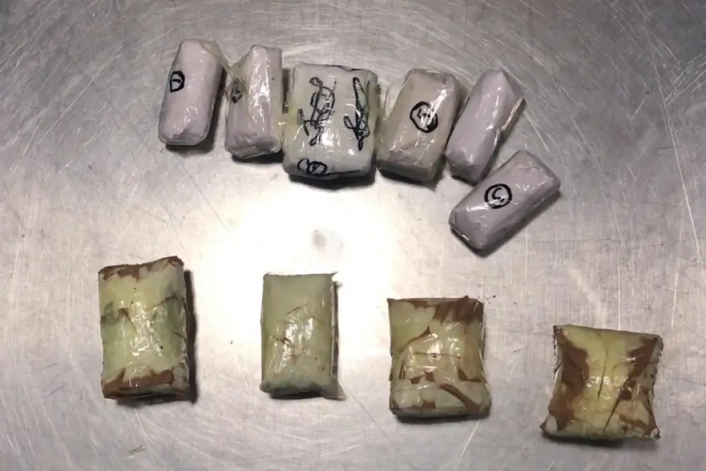 Bu ilin doqquz ayında dəyəri 170 milyon manatdan çox narkotik dövriyyədən çıxarılıb