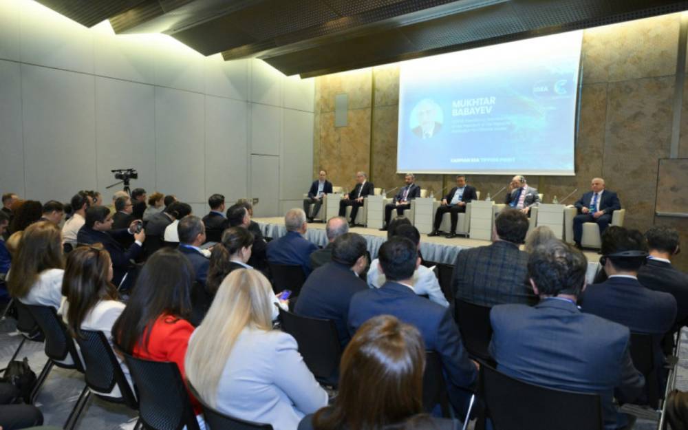 Leyla Əliyevanın təşəbbüsü ilə konfrans keçirildi