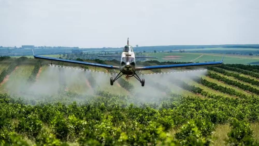 Braziliyada təyyarə uşaq bağçasına çırpıldı