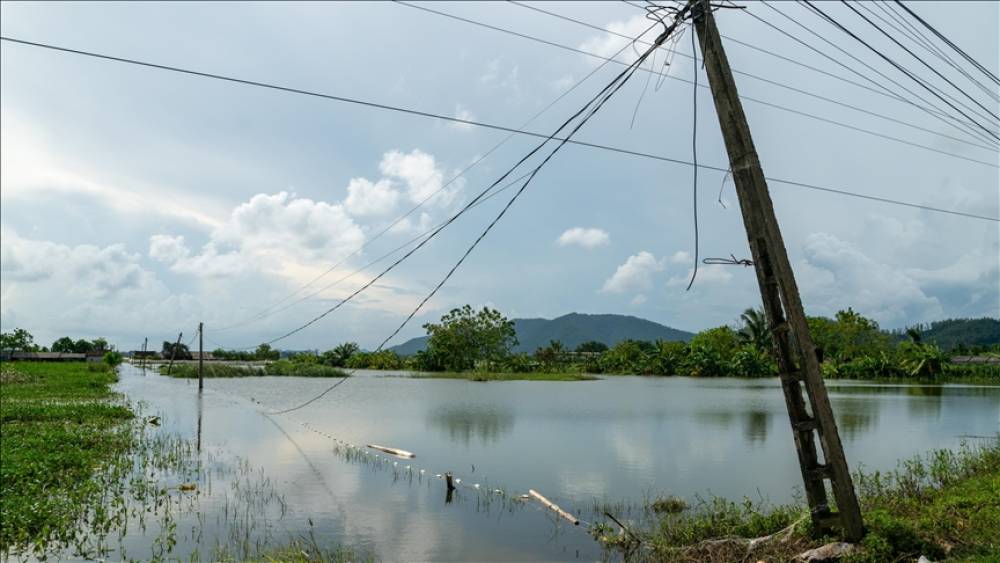 Vyetnamda "Bualoi" qasırğası nəticəsində 12 nəfər öldü